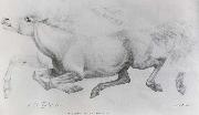 William Strutt, Lady Blunt-s Arab mare,Sherifa